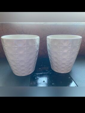 Set of 2 White Textured Planters
